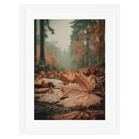 Feuille d'érable sous la pluie