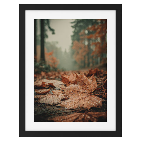 Feuille d'érable sous la pluie