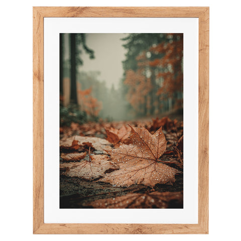 Feuille d'érable sous la pluie