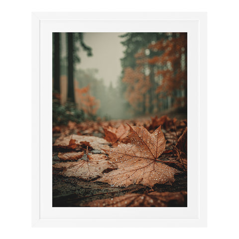 Feuille d'érable sous la pluie