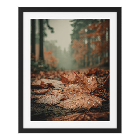 Feuille d'érable sous la pluie