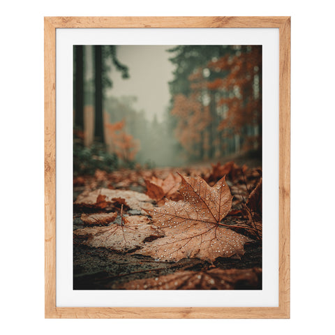 Feuille d'érable sous la pluie