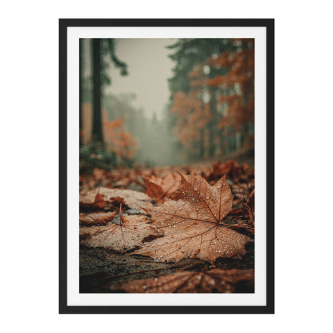 Feuille d'érable sous la pluie