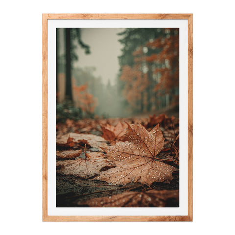 Feuille d'érable sous la pluie